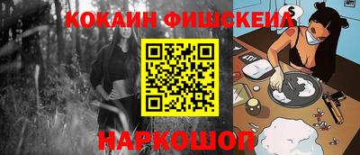гашик Жуковский