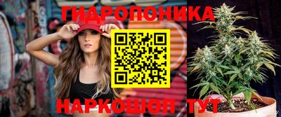 крисы Заволжье