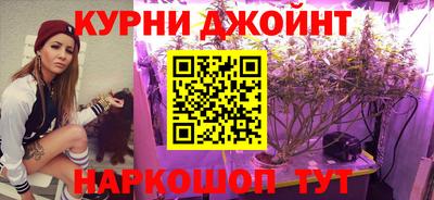 гашик Жуковский