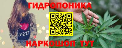 гашик Жуковский