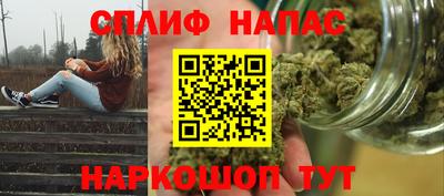 гашик Жуковский