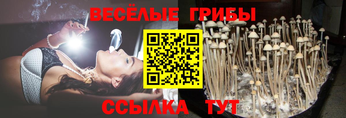 Галлюциногенные грибы Cubensis  Галлюциногенные грибы мухоморы  Лесосибирск  Вход с VPN 